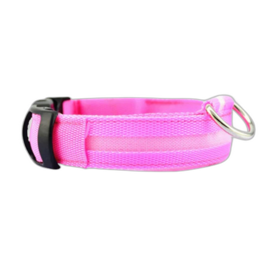 Coleira Luminosa Rosa Tamanho XL: Visibilidade e Proteção para seu Pet